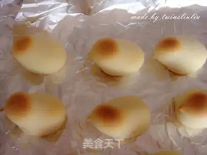 Make Chicken step 13