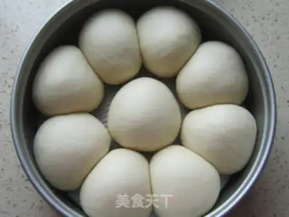 Make Apricot step 8