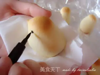 Make Chicken step 14