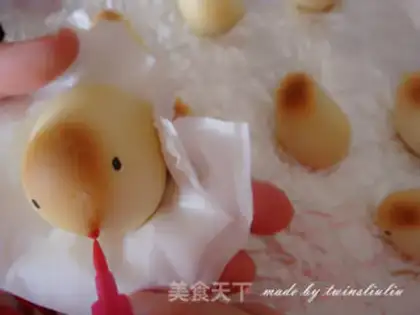 Make Chicken step 15