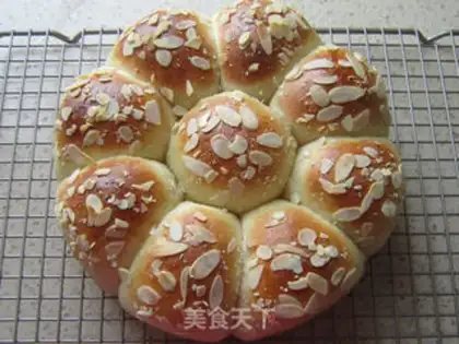 Make Apricot step 11
