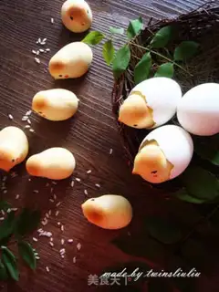 Make Chicken step 23