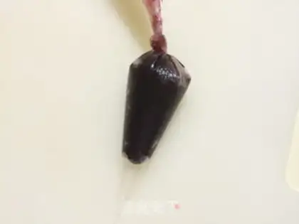 Make Strawberry pineapple bag step 14