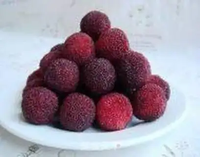 Make Homemade yin step 0