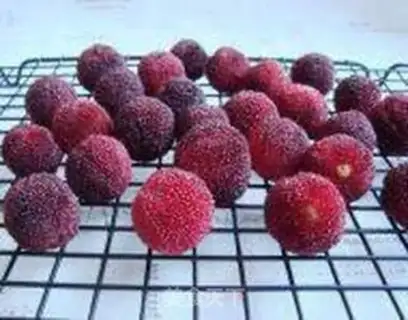 Make Homemade yin step 3