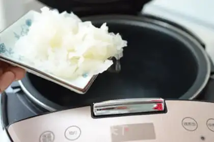 Make Ice cream and silver cortex step 2