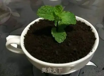 Make Kawakawa