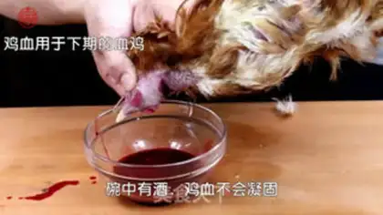 Make Plumbing chicken step 0