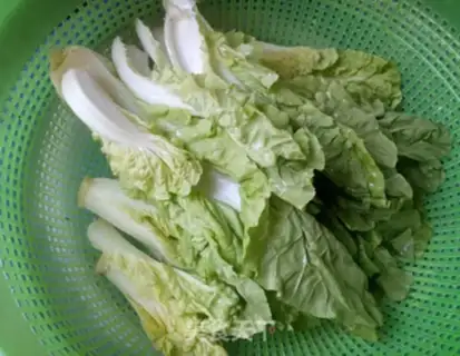 Make Sour cabbage step 0