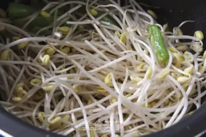 Make Bean bean noodle step 5