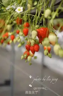 Make Simple and delicious strawberry sauce step 8