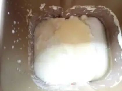 Make Homemade yogurt step 9