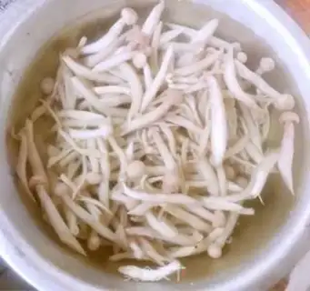 Make Paprika