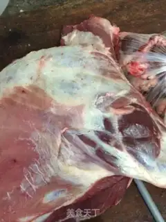 Make Hands on lamb step 0