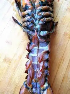 Make Cheese lobster step 1