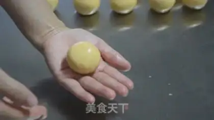 Make Chicken step 11