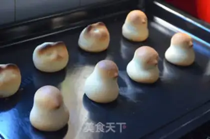 Make Chicken step 15