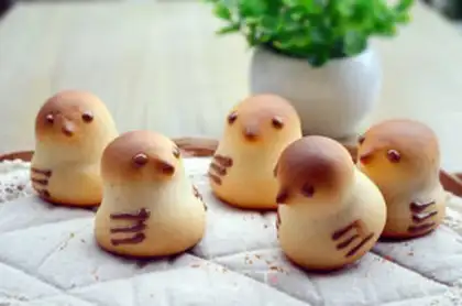 Make Chicken step 18