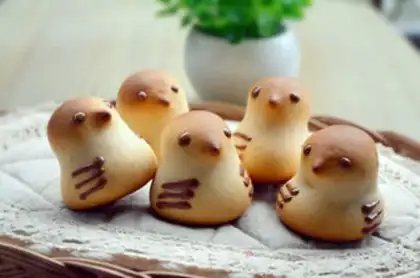 Make Chicken step 20
