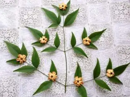 Make Flower cookies step 10