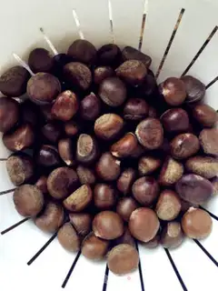 Make Baked chestnuts step 1