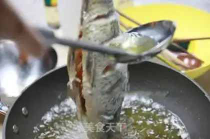 Make Classic carp step 4