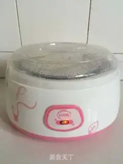 Make Red-tree yogurt step 13