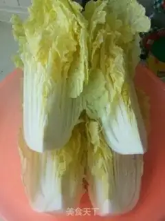 Make Tastes good for cabbage step 0
