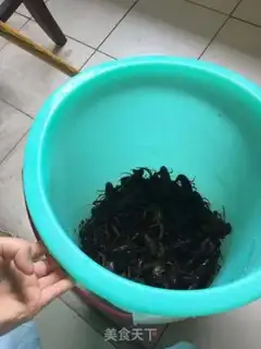 Make Shrimp step 0