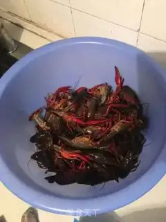 Make Shrimp step 1