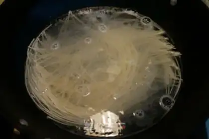 Make Frozen noodles step 1