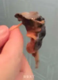 Make Wild field snails step 1