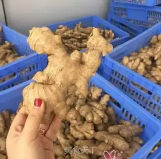 Make Black ginger tea from the detoxin palace step 0