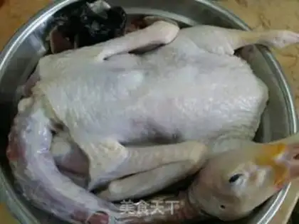 Make Duck step 0