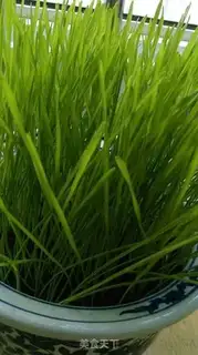 Make Wheatgrass fried eggs step 0
