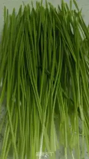 Make Wheatgrass fried eggs step 1