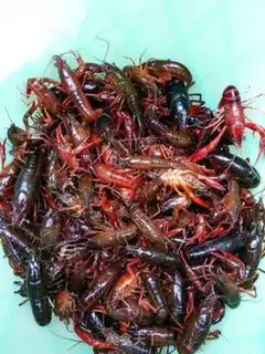 Make Crawfish step 0
