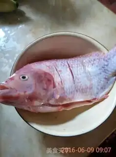 Make Red fish step 0