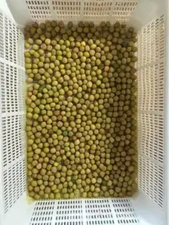 Make Peas seed step 0