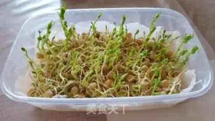 Make Peas seed step 5