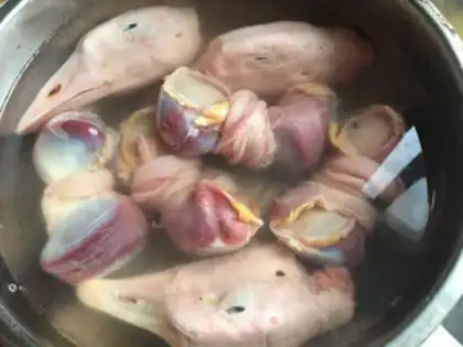 Make A halogenated geese step 0