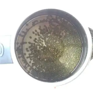Make Auto green bean sprouts step 1