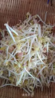 Make Auto green bean sprouts step 6