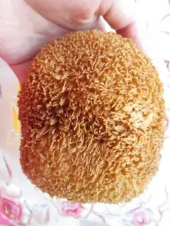 Make Monkey-head mushrooms step 0
