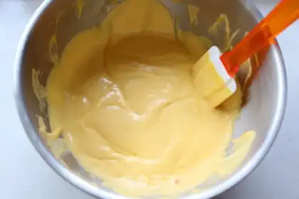 Make Mango Moose step 11