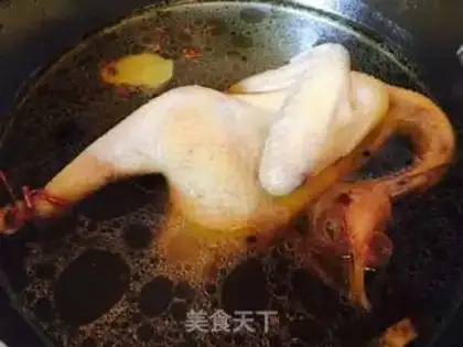 Make White pheasant step 8
