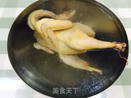 Make White pheasant step 9