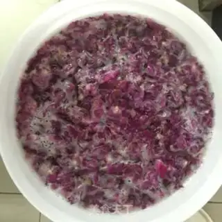 Make Rose brooding yeast step 4