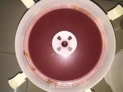 Make Rose brooding yeast step 6