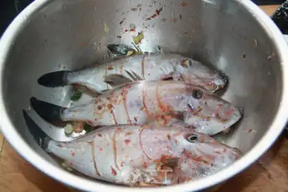 Make Private room. Slurpy fish step 2